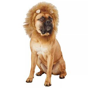NEW Lion Ruff Dog Headwear LARGE - Hyde & EEK! Boutique